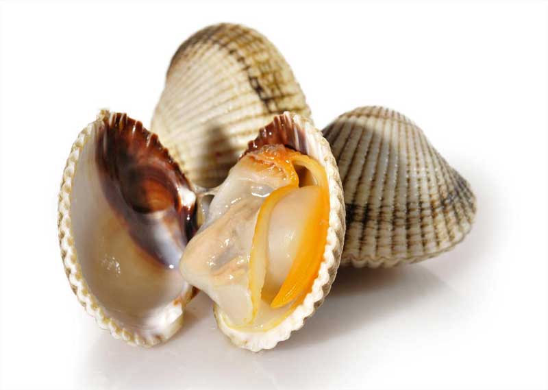 3berberechos